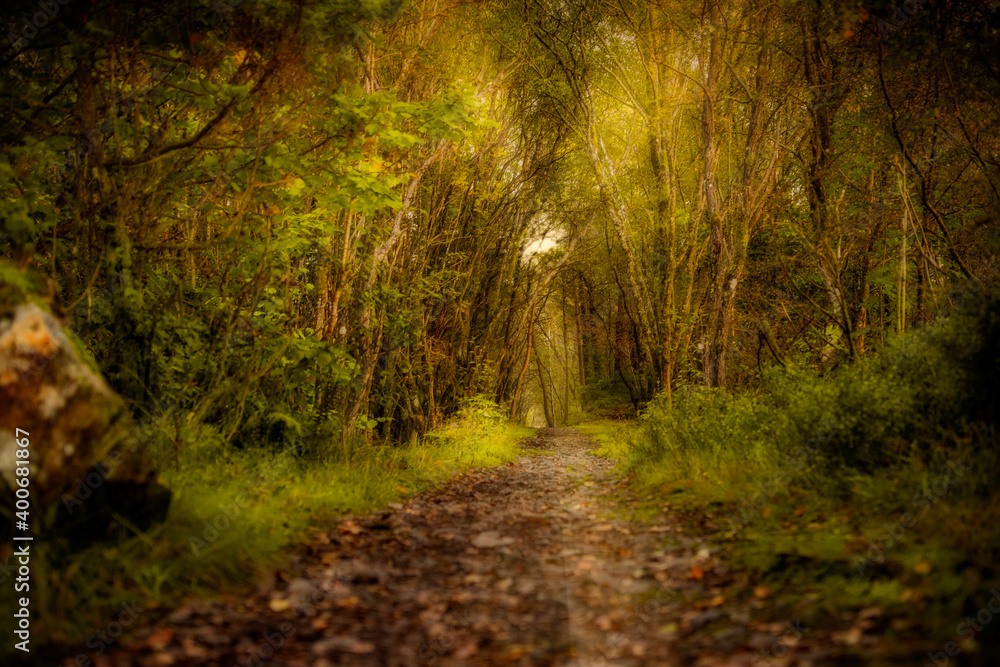 Obraz premium Norwegian trail path
