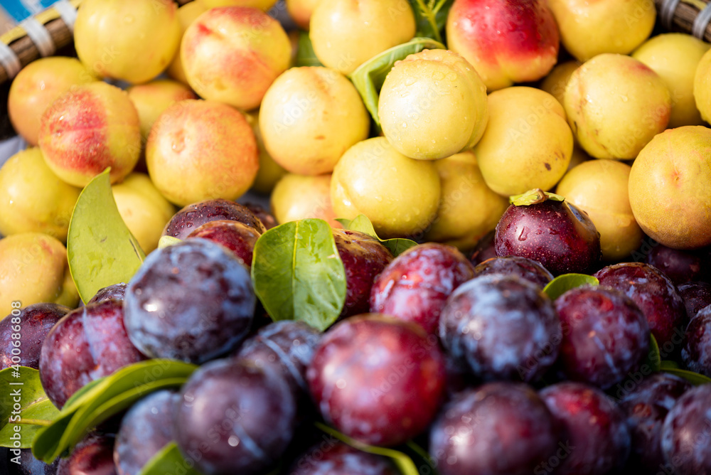 Hanoi plums, Hanoi street food pickle fresh plum fruit Hanoi plums, Hanoi street food pickle fresh plum fruit
