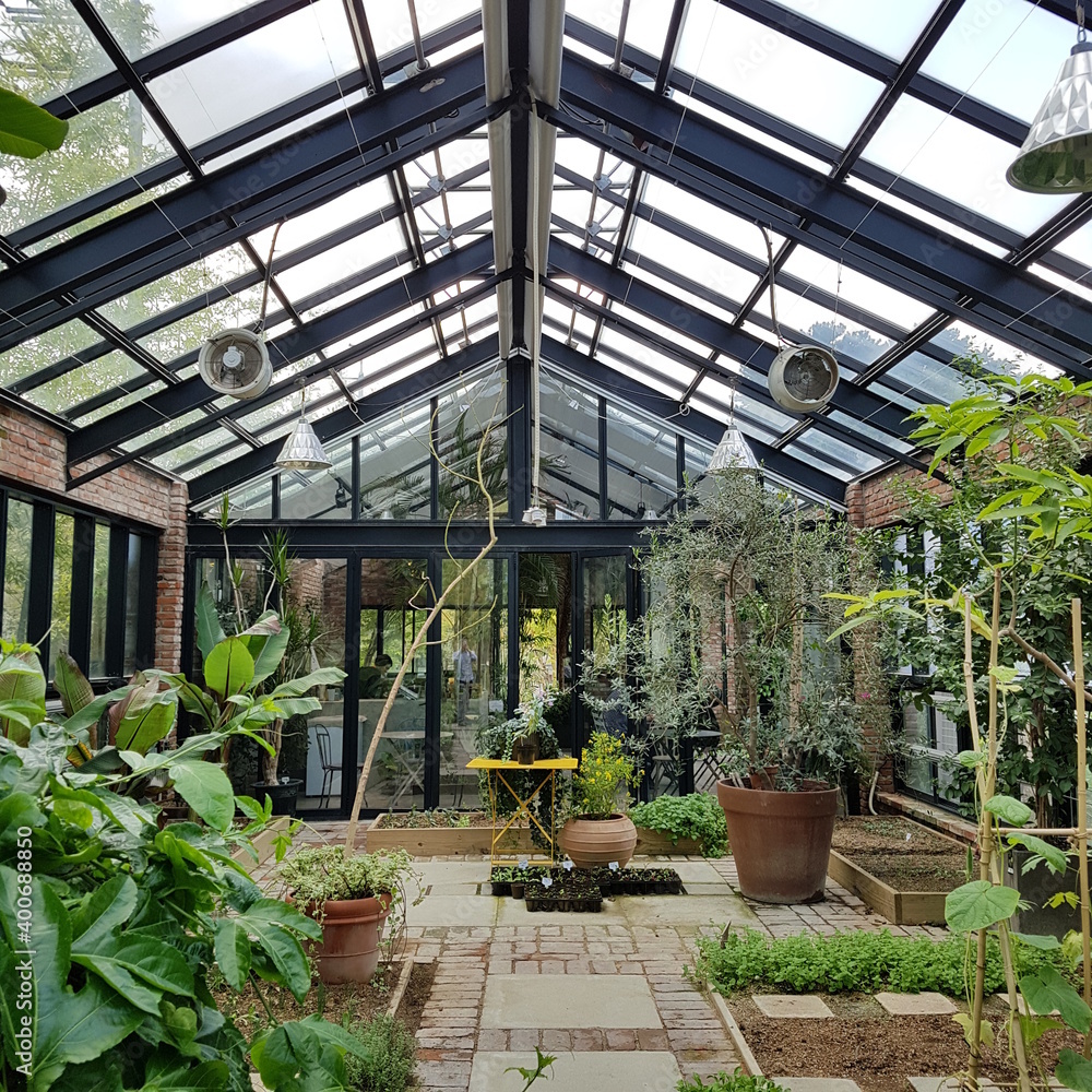 greenhouse with plants greenhouse with plants