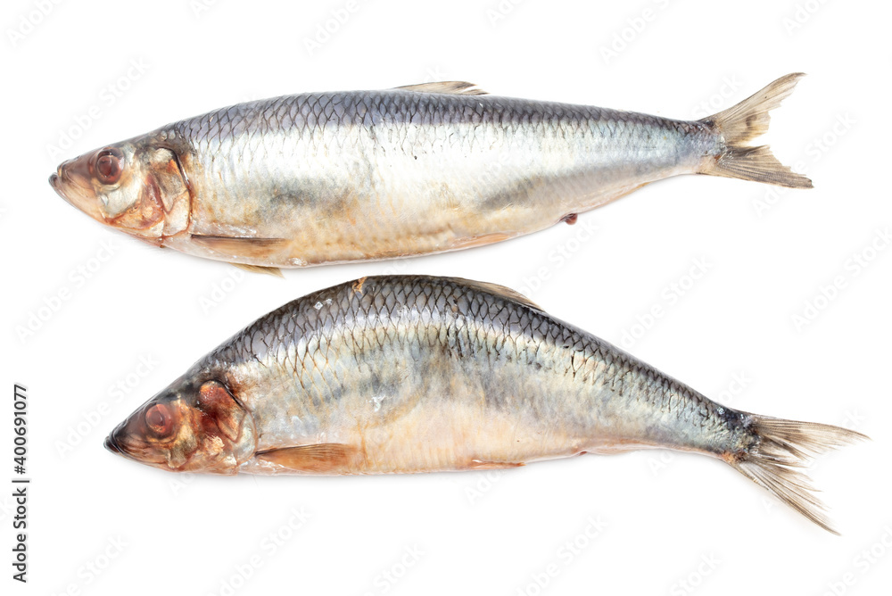 Two herring isolated on a white background. Two herring isolated on a white background.