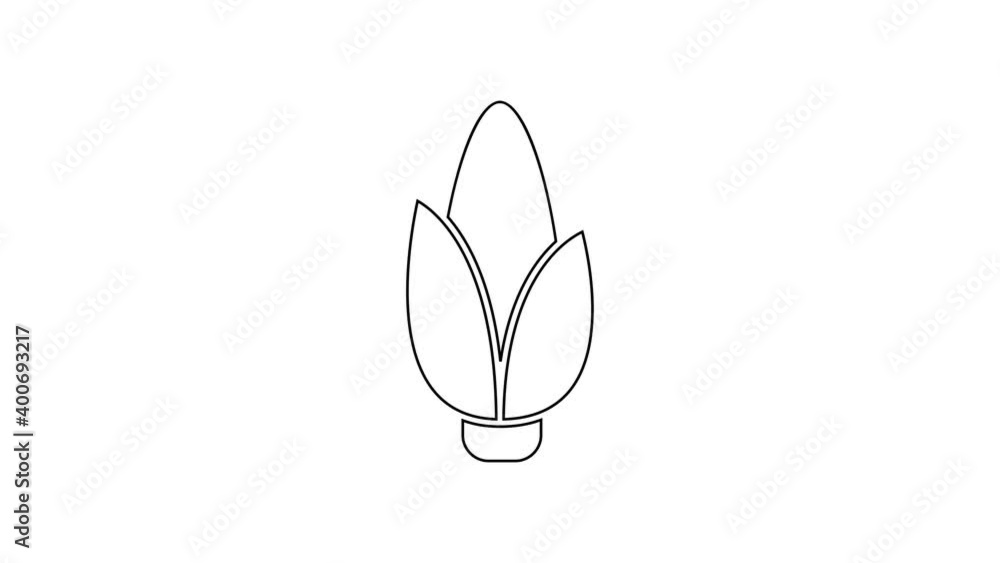 Black line Corn icon isolated on white background. 4K Video motion graphic animation Black line Corn icon isolated on white background. 4K Video motion graphic animation