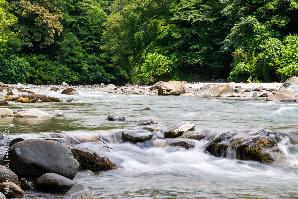 Mountain river flowing at summer forest landscape