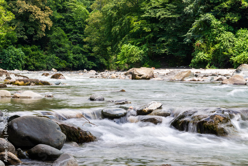 Obraz na płótnie Mountain river flowing at summer forest landscape w salonie