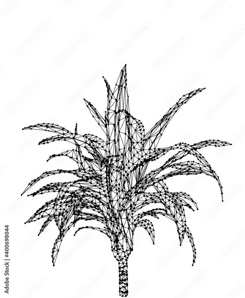 Vector dracaena isolated on white background. Palm tree design in triangular wireframe low poly style. Floral design element. Vector dracaena isolated on white background. Palm tree design in triangular wireframe low poly style. Floral design element.