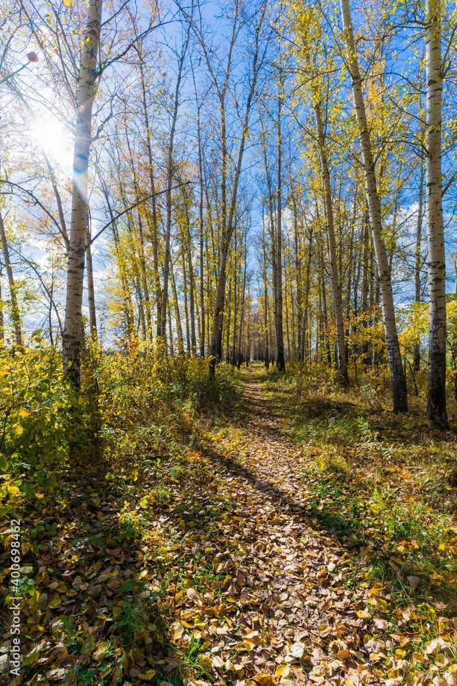 The beauty of autumn nature.