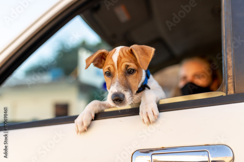 Girl in black mask in the car with a dog jack russell in sunny spring day. Protection against disease and coronavirus during epidemics and pandemics. Covid-19.Travel with pets