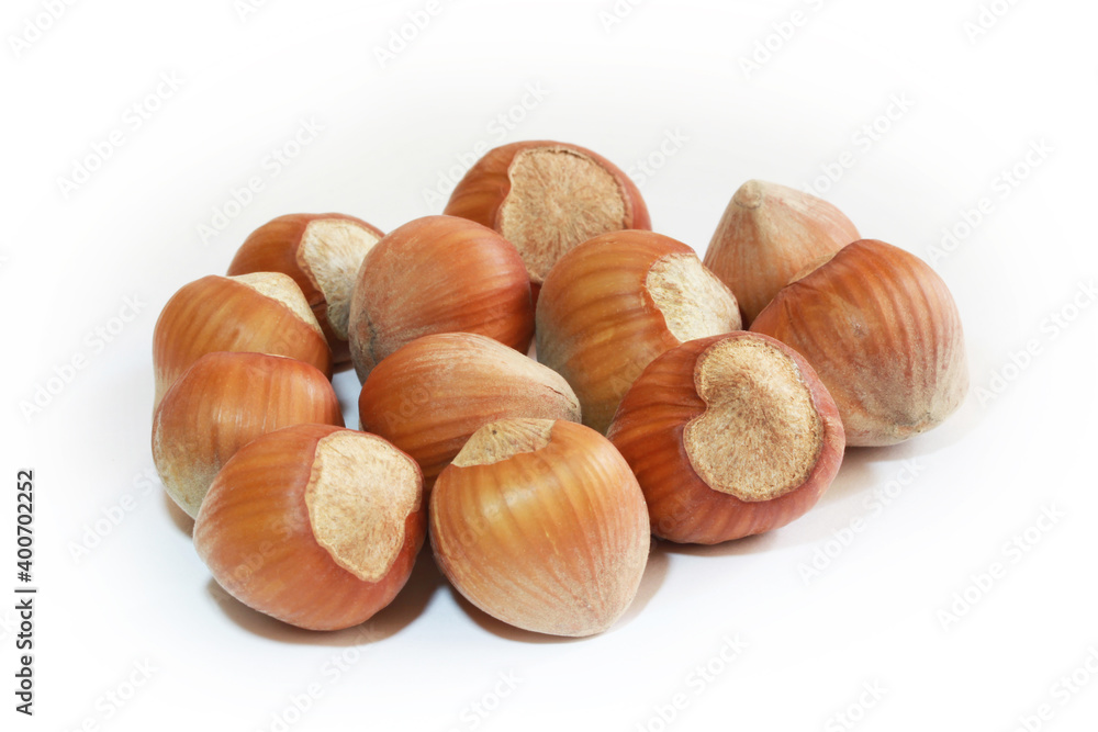 Hazelnuts isolated on white background. Studio shot. Hazelnuts isolated on white background. Studio shot.