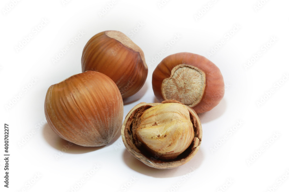 Hazelnuts isolated on white background. Studio shot. Hazelnuts isolated on white background. Studio shot.