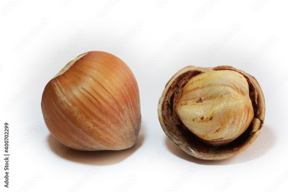 Hazelnuts isolated on white background. Studio shot. Hazelnuts isolated on white background. Studio shot.