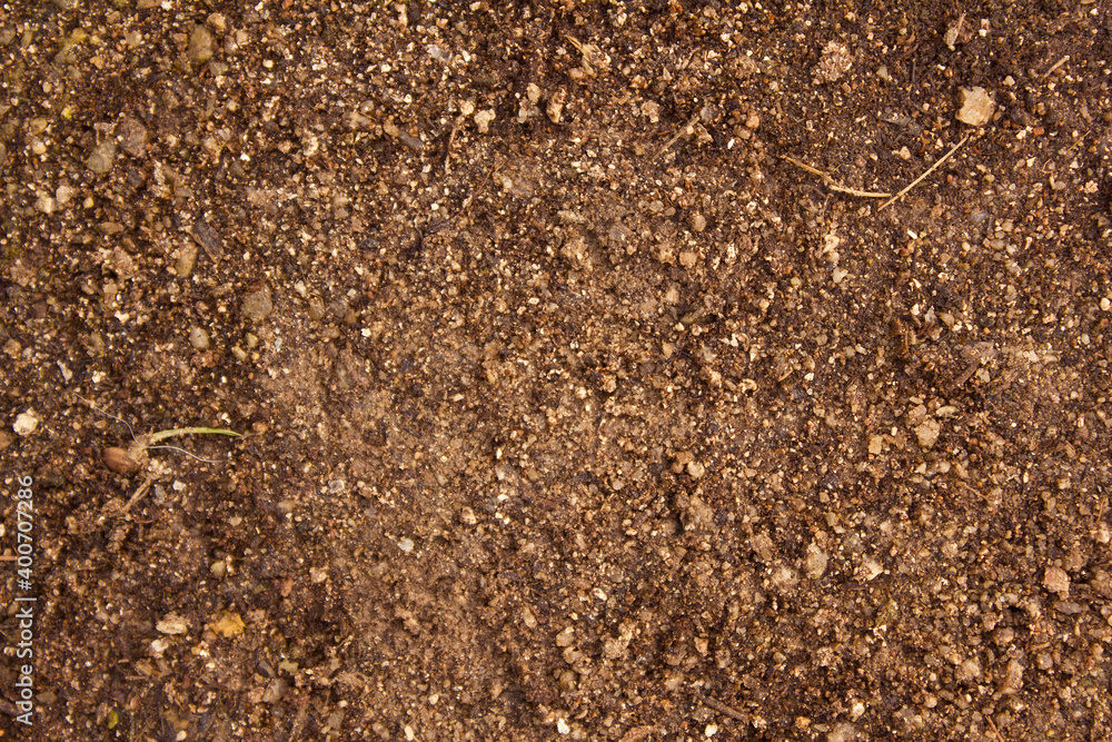 Top view Soil texture background. Sand . Top view Soil texture background. Sand .