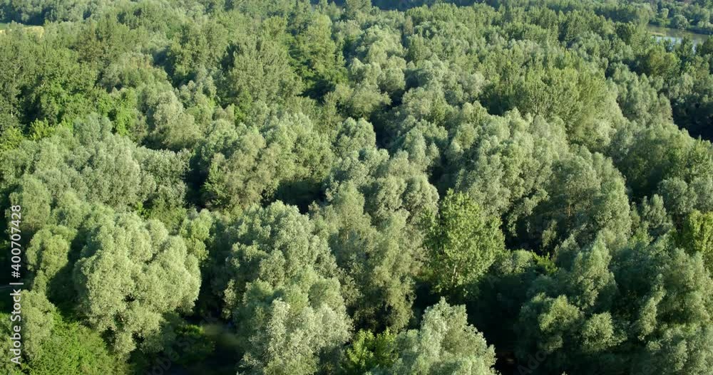 Aerial view of the floodplain forest of the Drava River Aerial view of the floodplain forest of the Drava River