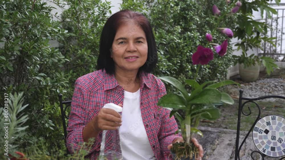 Happy Asian senior woman do gardening at backyard garden, watering plants, looking at camera, smiling.
Handheld, outdoor, medium shot, retired senior lifestyle concept. Happy Asian senior woman do gardening at backyard garden, watering plants, looking at camera, smiling.
Handheld, outdoor, medium shot, retired senior lifestyle concept.