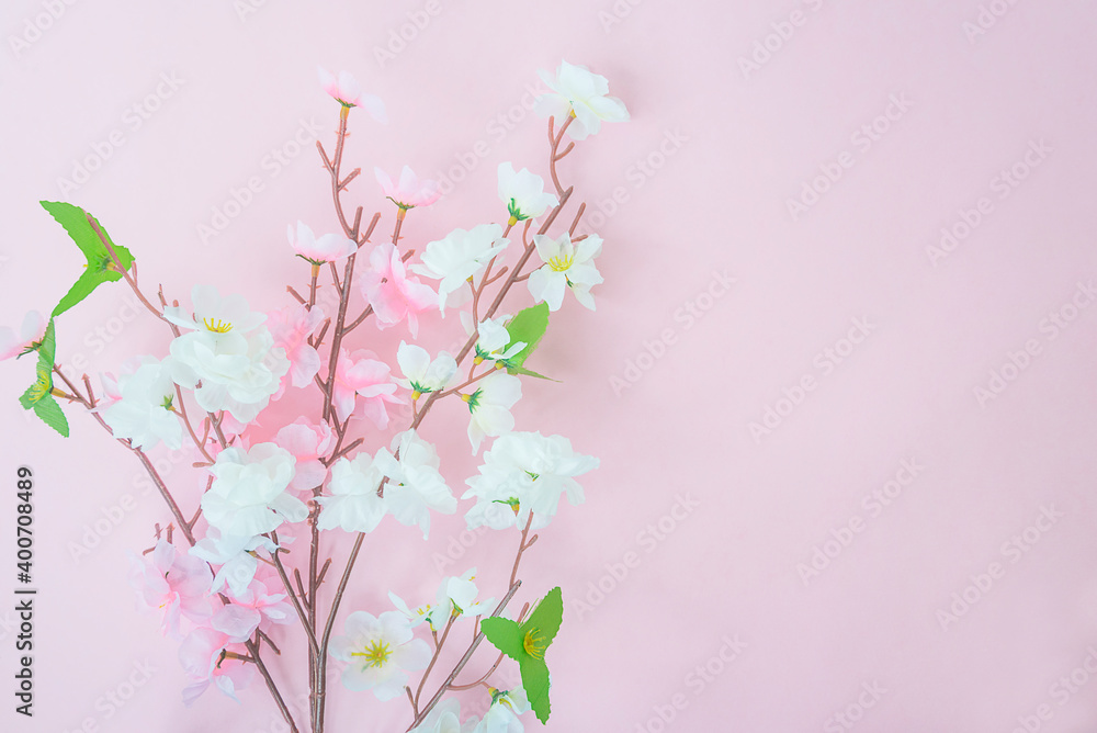 Spring or easter greeting card. Twigs of white and pink flowers on pink background. Space for text