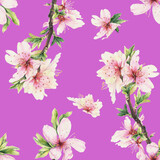 Seamless pattern with almond blossom flowers
