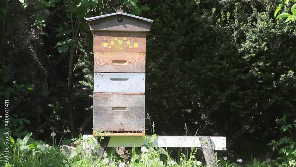 Ruche d'abeilles à miel avec 3 hausses au printemps Ruche d'abeilles à miel avec 3 hausses au printemps