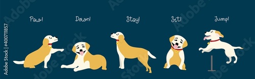 The dogs will follow the commands. Training of dogs and puppies. Trendy illustration for animal trainers