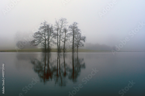 Baumgruppe am Ufer im Nebel