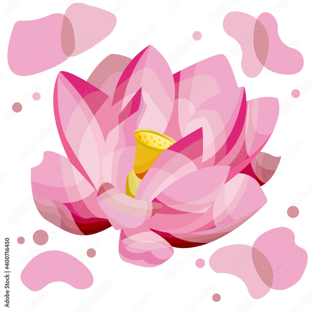 vector illustration of a Lotus. vector illustration of a Lotus.