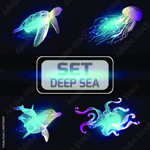 Set marine animals. Vector illustration. The octopus,  dolphin, jellyfish, turtle consist of lines.Digital elements design  for business cards, invitations, gift cards, flyers and brochures, web.