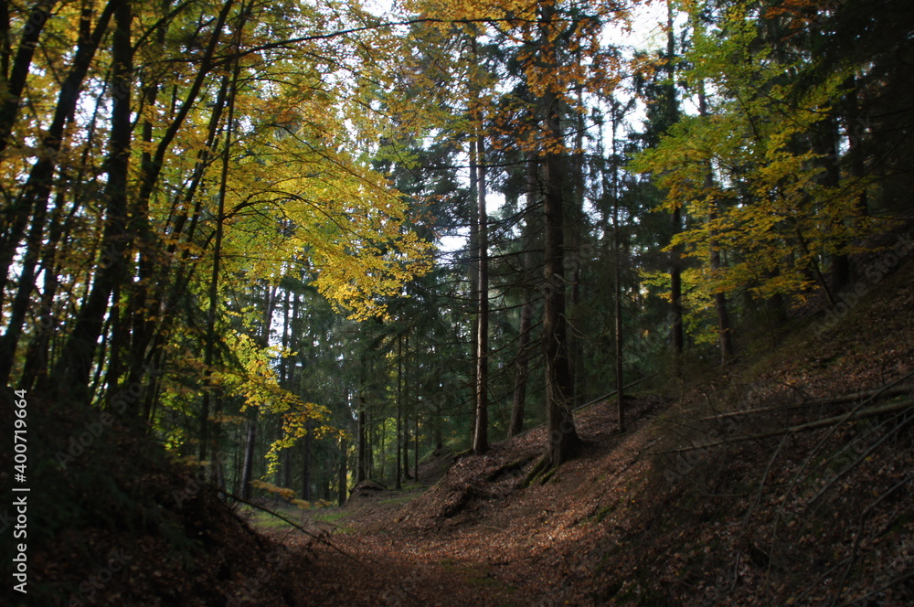 Der versteckte Weg Der versteckte Weg