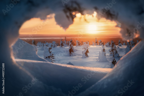 Snow packed trees at sunset in Riisitunturi National Park, Posio, Finland, Lapland photo