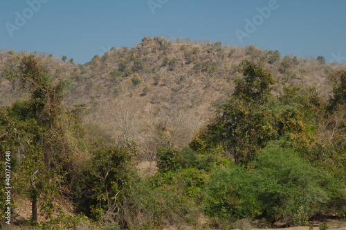 Hill in the Gir Sanctuary at Sasan. Gujarat. India.