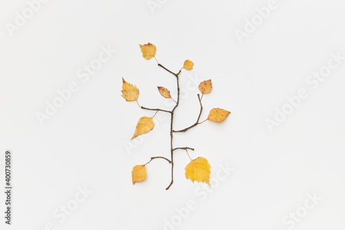 Wallpaper Mural Autumnal leaves and twigs Torontodigital.ca