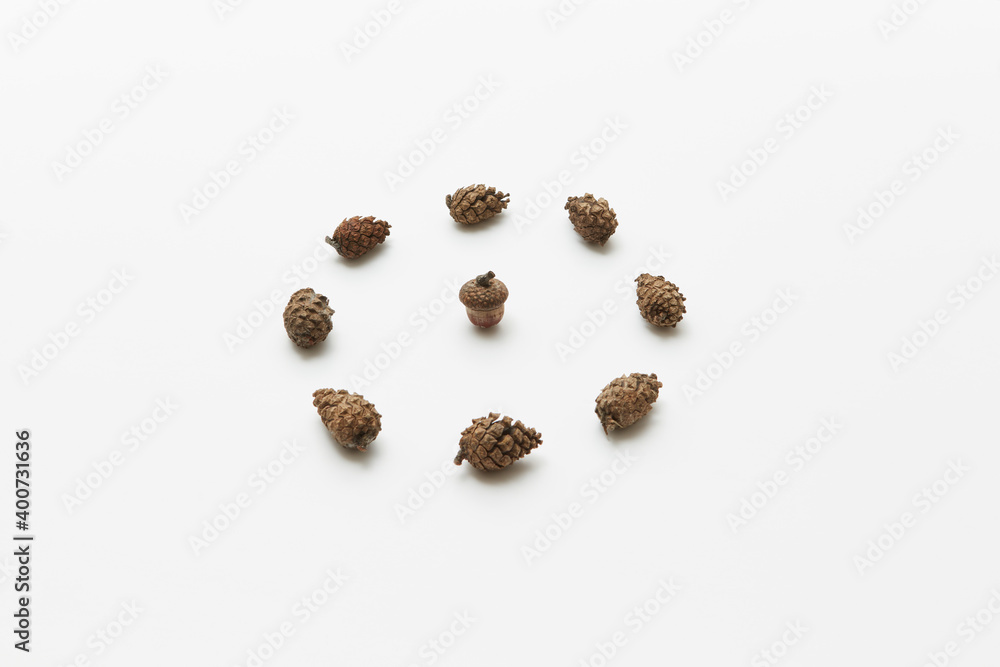 Acorn in circle of cones Acorn in circle of cones