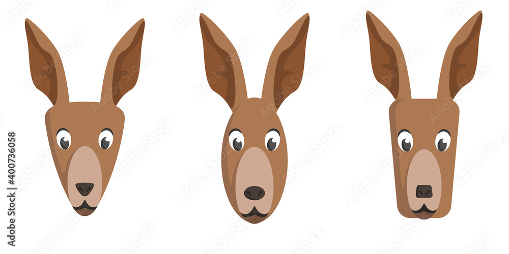 Set of cartoon kangaroos. Different shapes of animal faces.