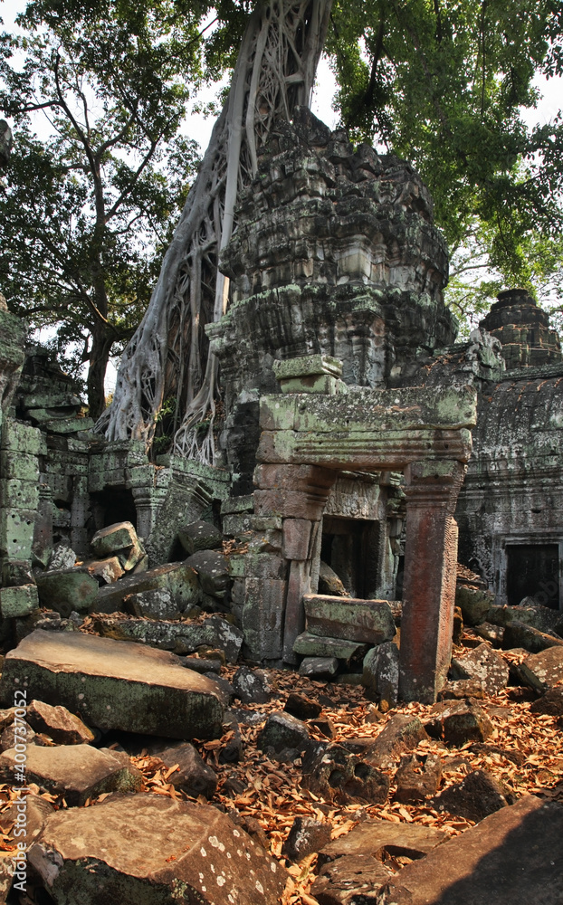 Ta Prohm temple at Angkor. Siem Reap province. Cambodia Ta Prohm temple at Angkor. Siem Reap province. Cambodia