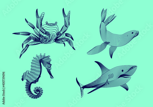 Set marine graphic animals. Vector illustration. The crab,  shark, sea horse, seal  consist of lines.Digital elements design  for business cards, invitations, gift cards, flyers and brochures, web. © Molgaart