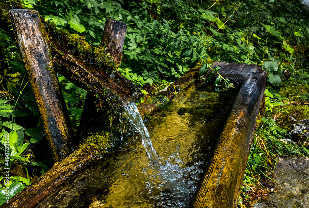 Fototapeta premium Old Mossy Spring And Fountain With Clear And Cold Mountain Water Running Into Basin