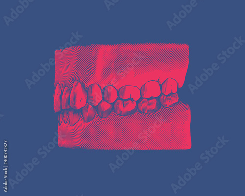 Red vintage human tooth and gum illustration on blue BG