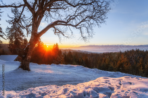 Fototapeta Naklejka Na Ścianę i Meble -  wschod slonca w gorcach 