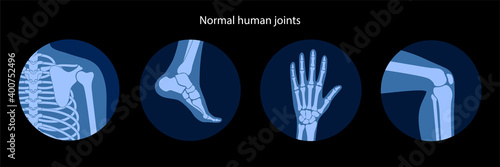 Human bones concept