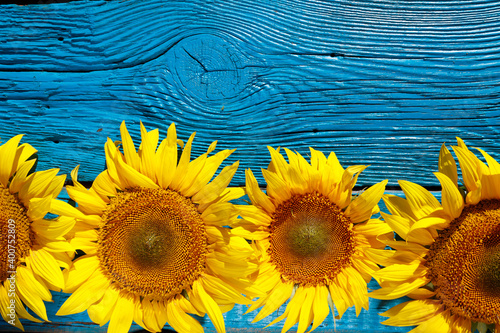 sunflowers on an old wooden background with copy space