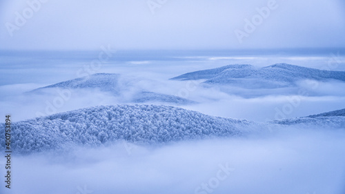 Fototapeta Naklejka Na Ścianę i Meble -  Mountain peaks over the clouds. An unigue vista. Bieszczady National Park. Carpathians. Poland.