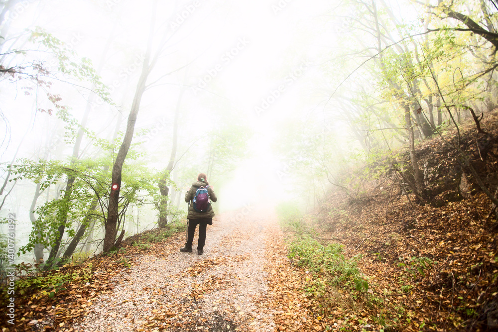 Woman with backpack hike on foggy autumn day through forest. Healthy lifestyle. Nature landscape. Woman with backpack hike on foggy autumn day through forest. Healthy lifestyle. Nature landscape.