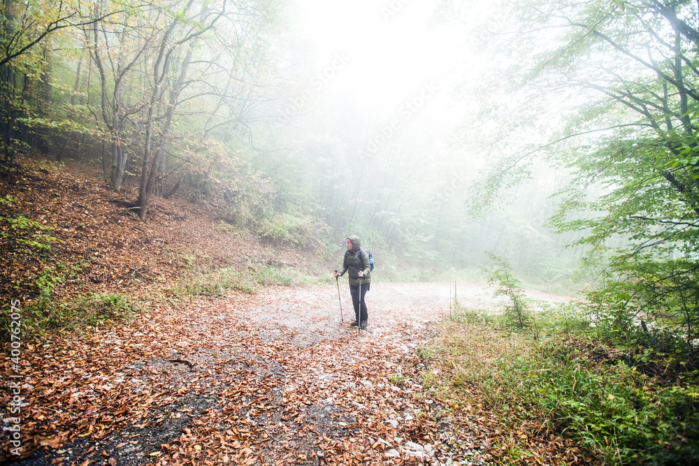 Hike Woman walking on foggy autumn day through misty forest. Healthy lifestyle. Hike Woman walking on foggy autumn day through misty forest. Healthy lifestyle.