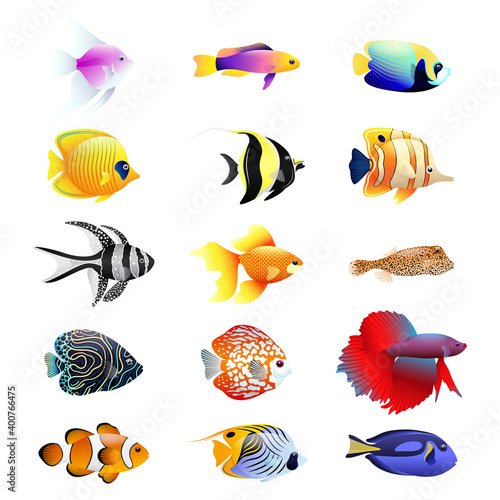 Tropical fish cartoon realistic set. multi-colored set of nine different types of coral reef fishes