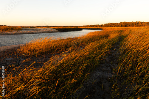 Salt marsh, Beaufort, SC 