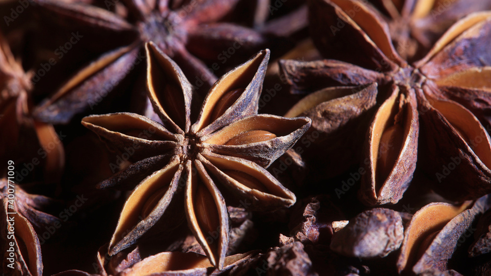 Christmas Bakery, Herbs, Star Anise Christmas Bakery, Herbs, Star Anise