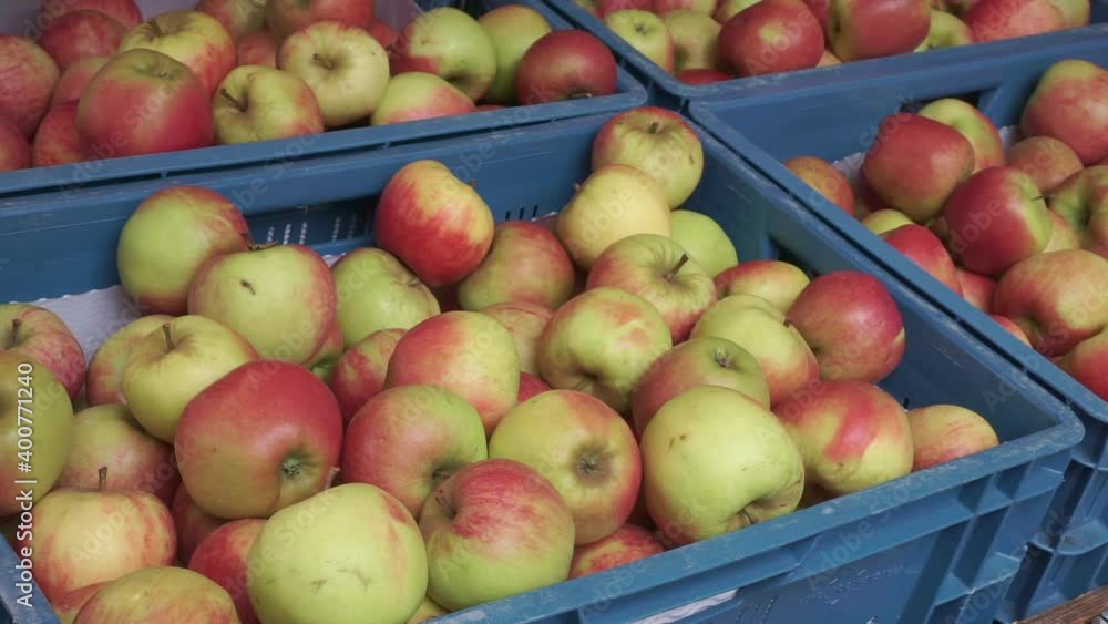 Apples in crates at the greengrocer. Slow pan to the right, Ermelo NLD. Pan right Apples in crates at the greengrocer. Slow pan to the right, Ermelo NLD. Pan right