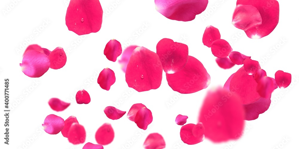 Rose Petals Stock Image Rose Petals Stock Image