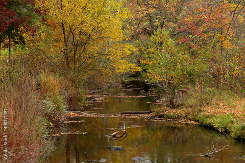 Creek and trees in autumn colors