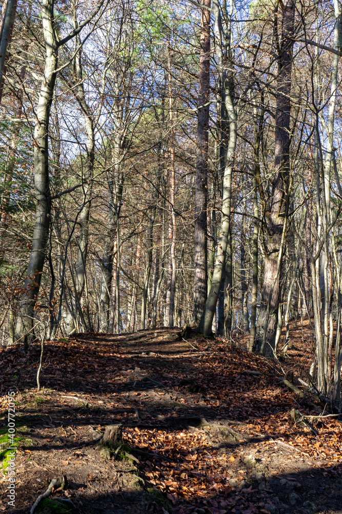 Obraz premium Wandern bei Nohn