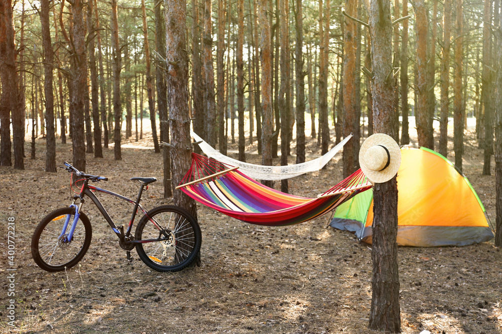 Empty hammock, camping tent and bicycle in forest on summer day