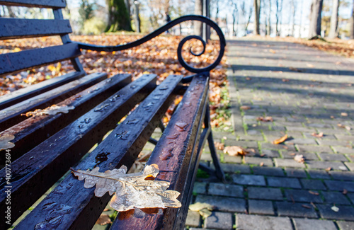 brown wooden bench