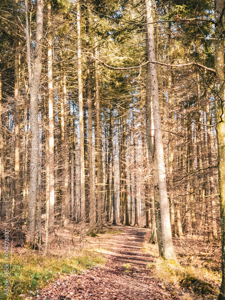 Obraz premium Dreimühlen Wasserfall Tour