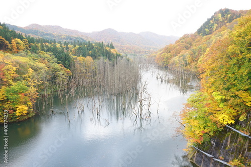 Misty autumn view of Tsugaru Dam and Shirakami Sanchi nature reserve in Aomori prefecture  Japan -                                                            